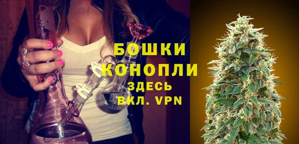 2c-b Белокуриха